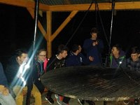 zloty lisc 2017 (15)